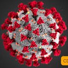 Journal of the Plague Year: Maine finally welcomes coronavirus